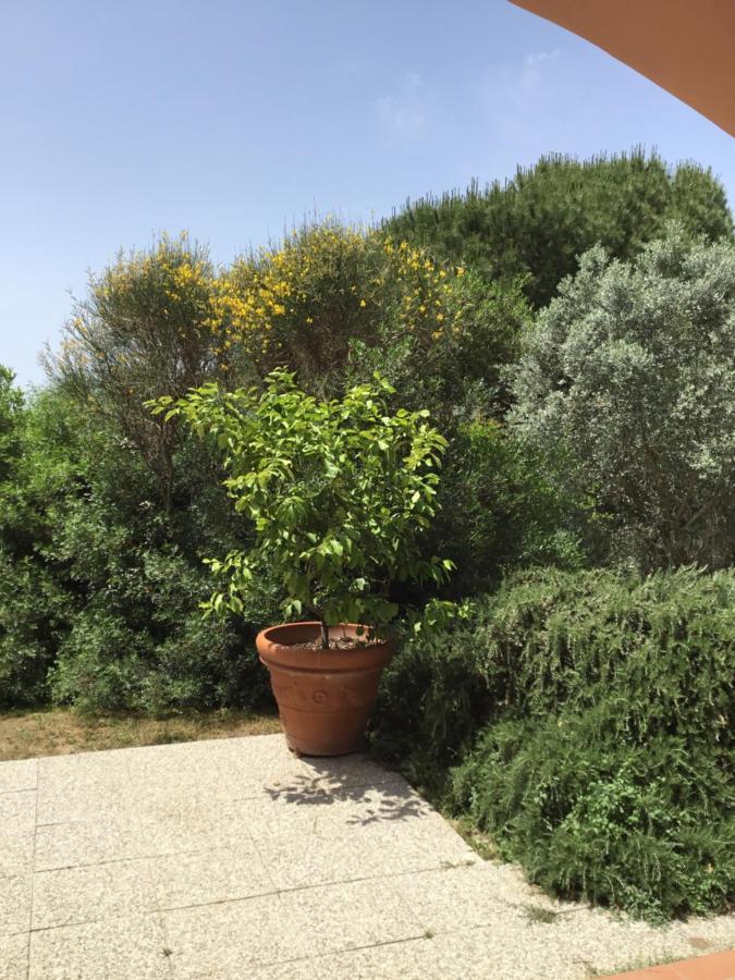Il Melograno Country House Saturnia Exterior foto