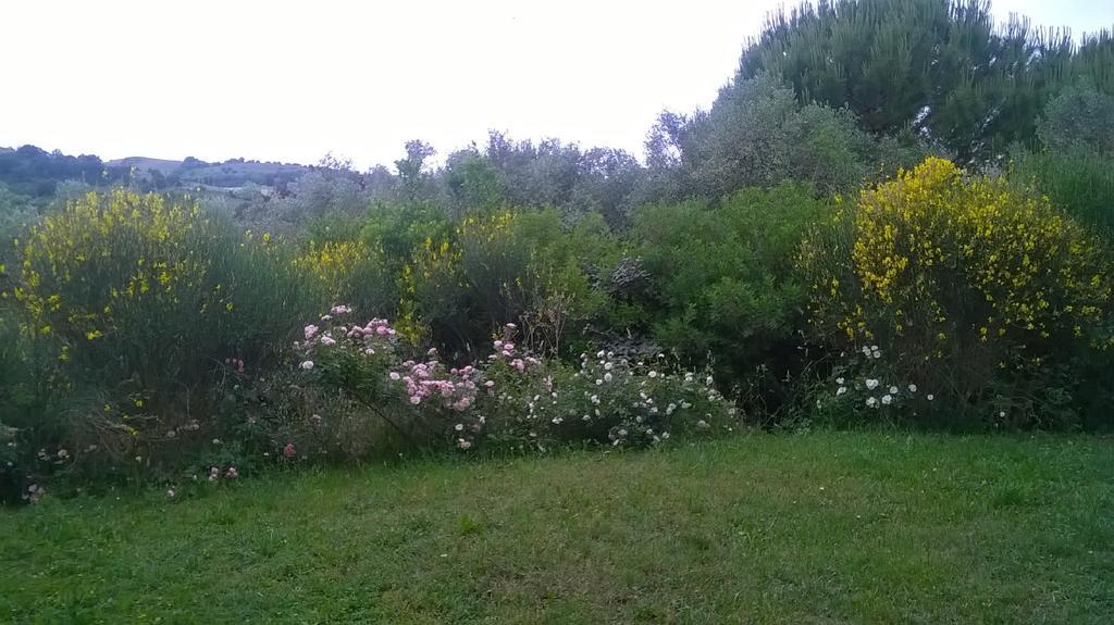 Hotel Il Melograno Country House Saturnia Exterior foto