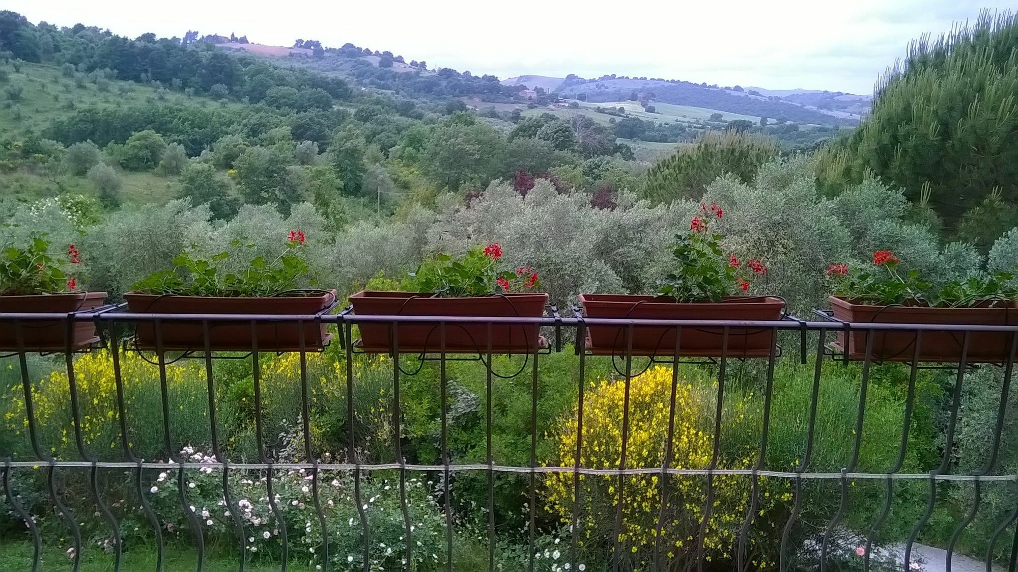 Hotel Il Melograno Country House Saturnia Exterior foto